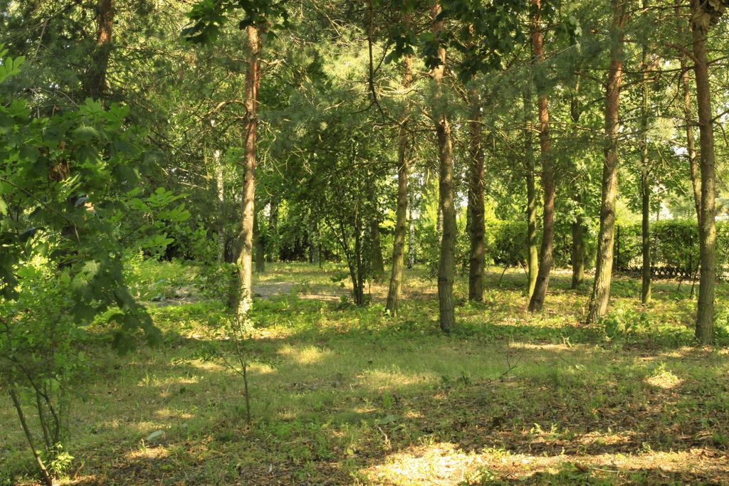 Kasztelania Pod Lipami Vila Zakroczym Exterior foto