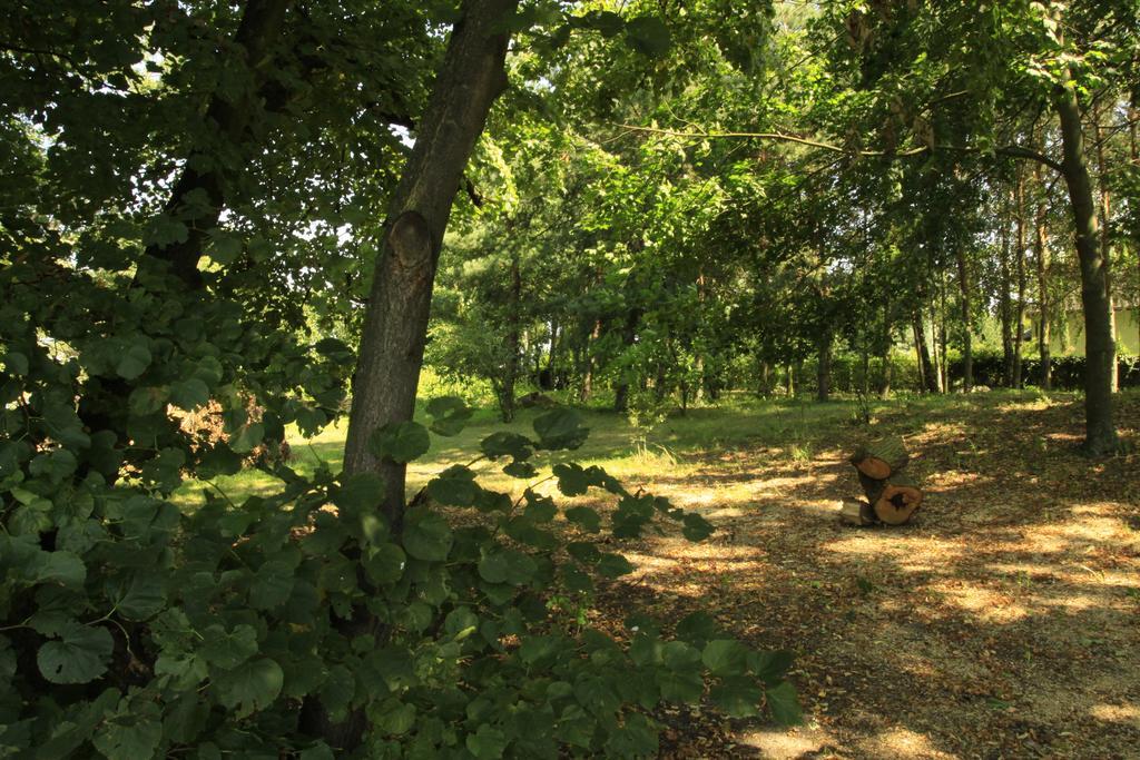 Kasztelania Pod Lipami Vila Zakroczym Exterior foto